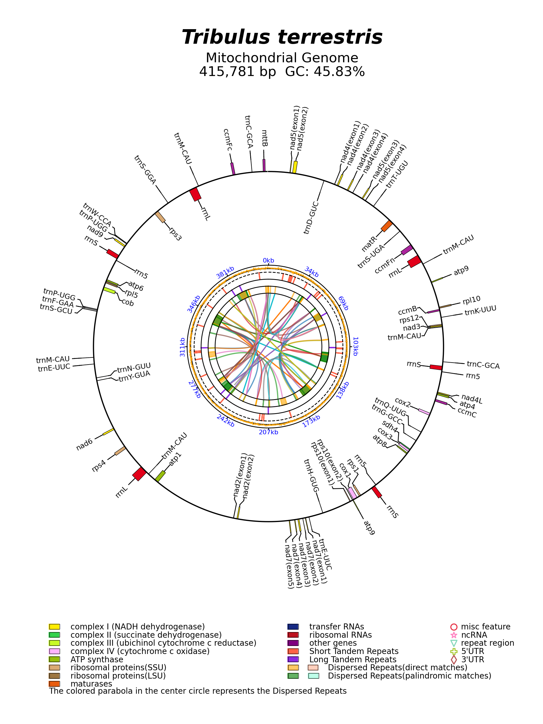 MK431825_circular.png