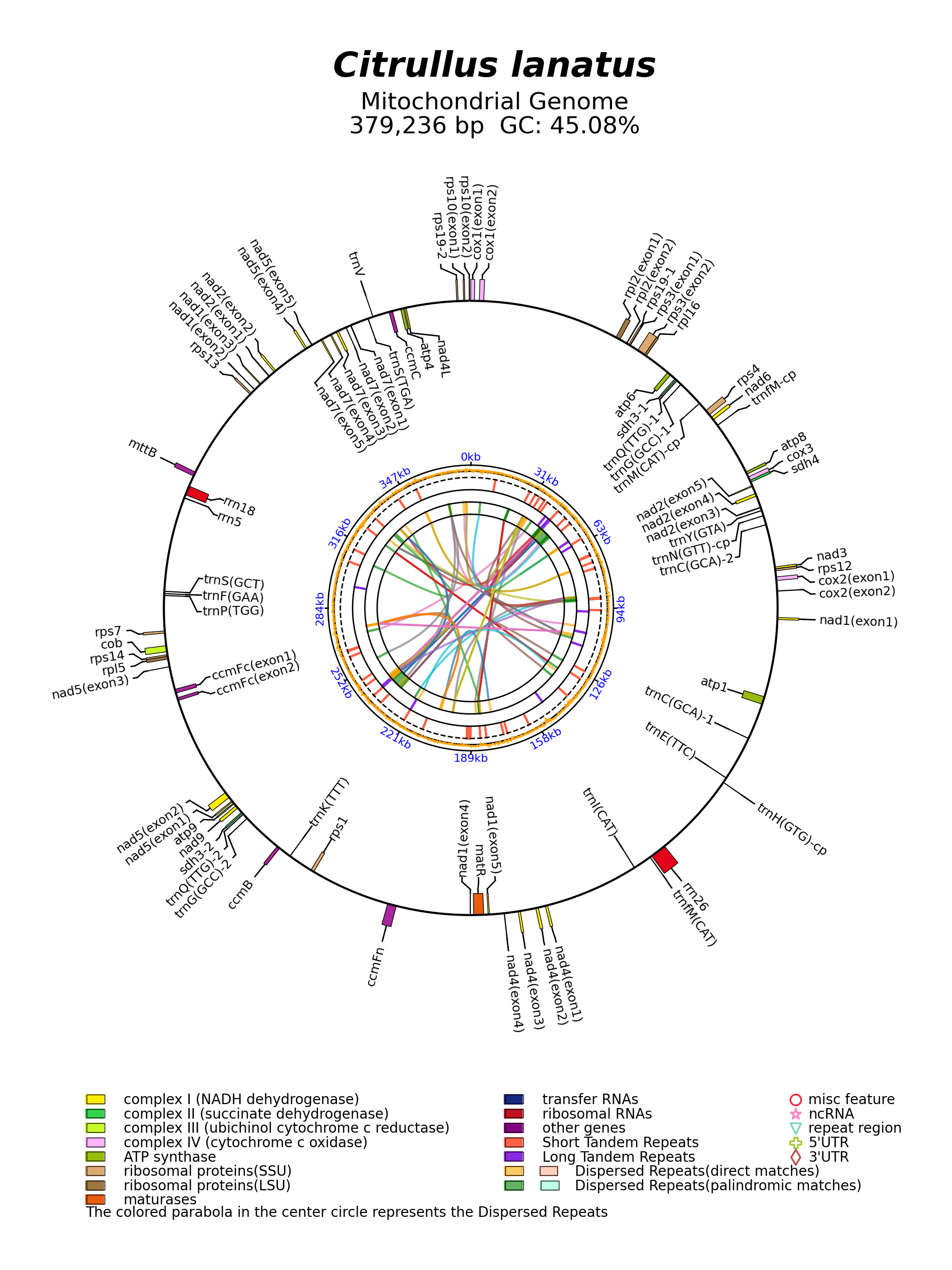 NC_014043_circular.png