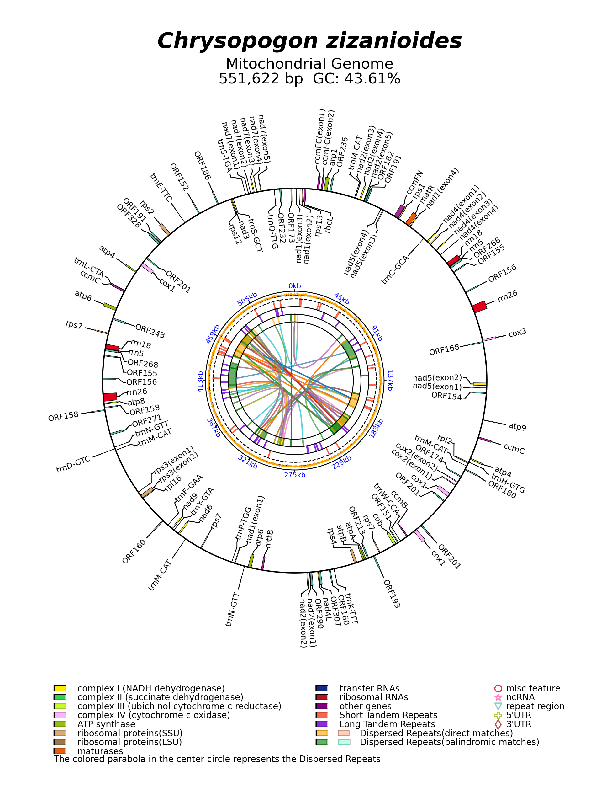 NC_056367_circular.png