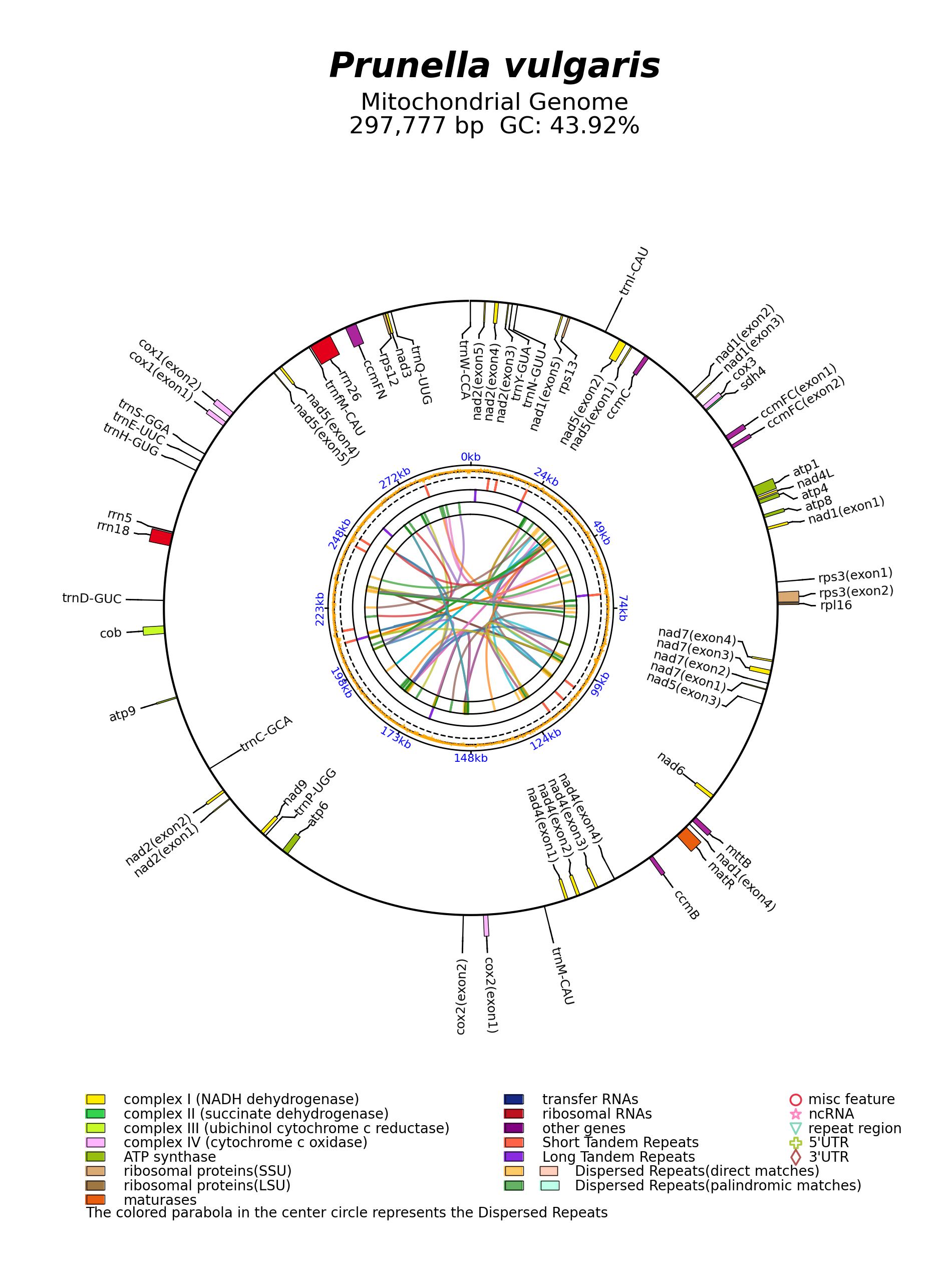 NC_081933_circular.png