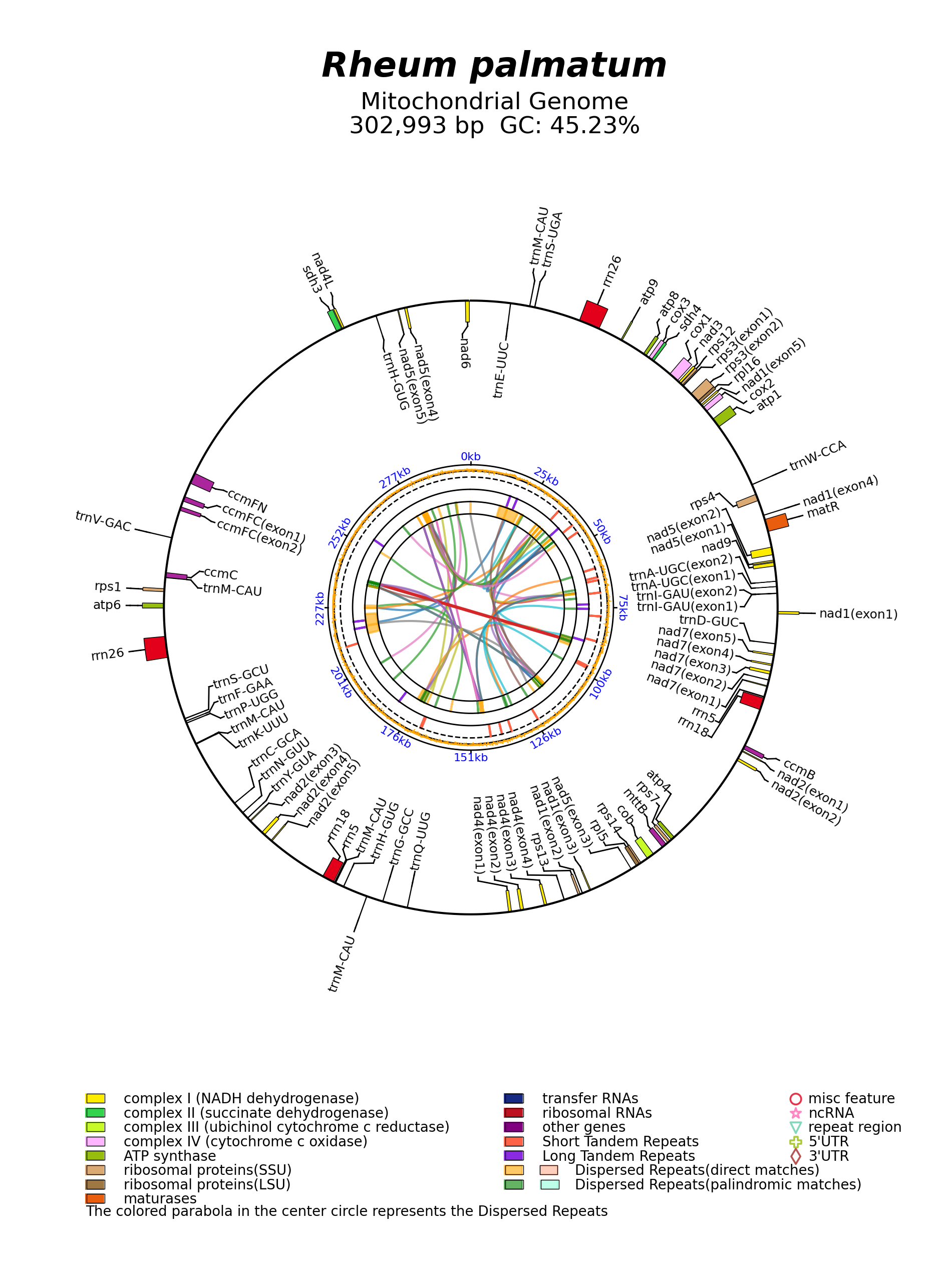 NC_082039_circular.png